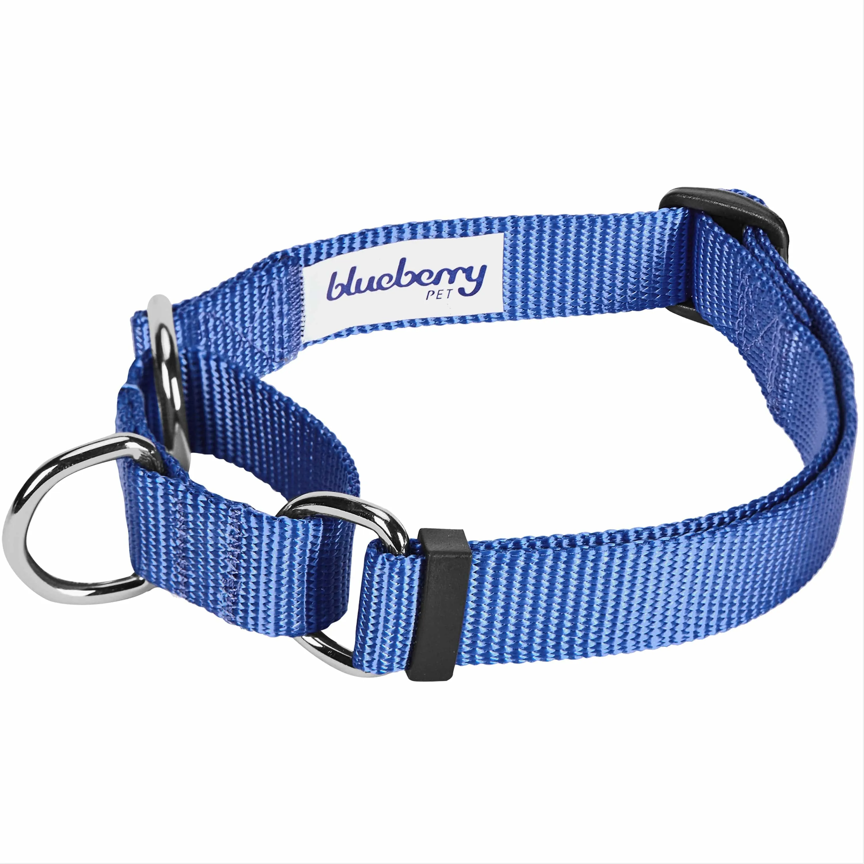 Martingale Safety Training Dog Collar, Blue