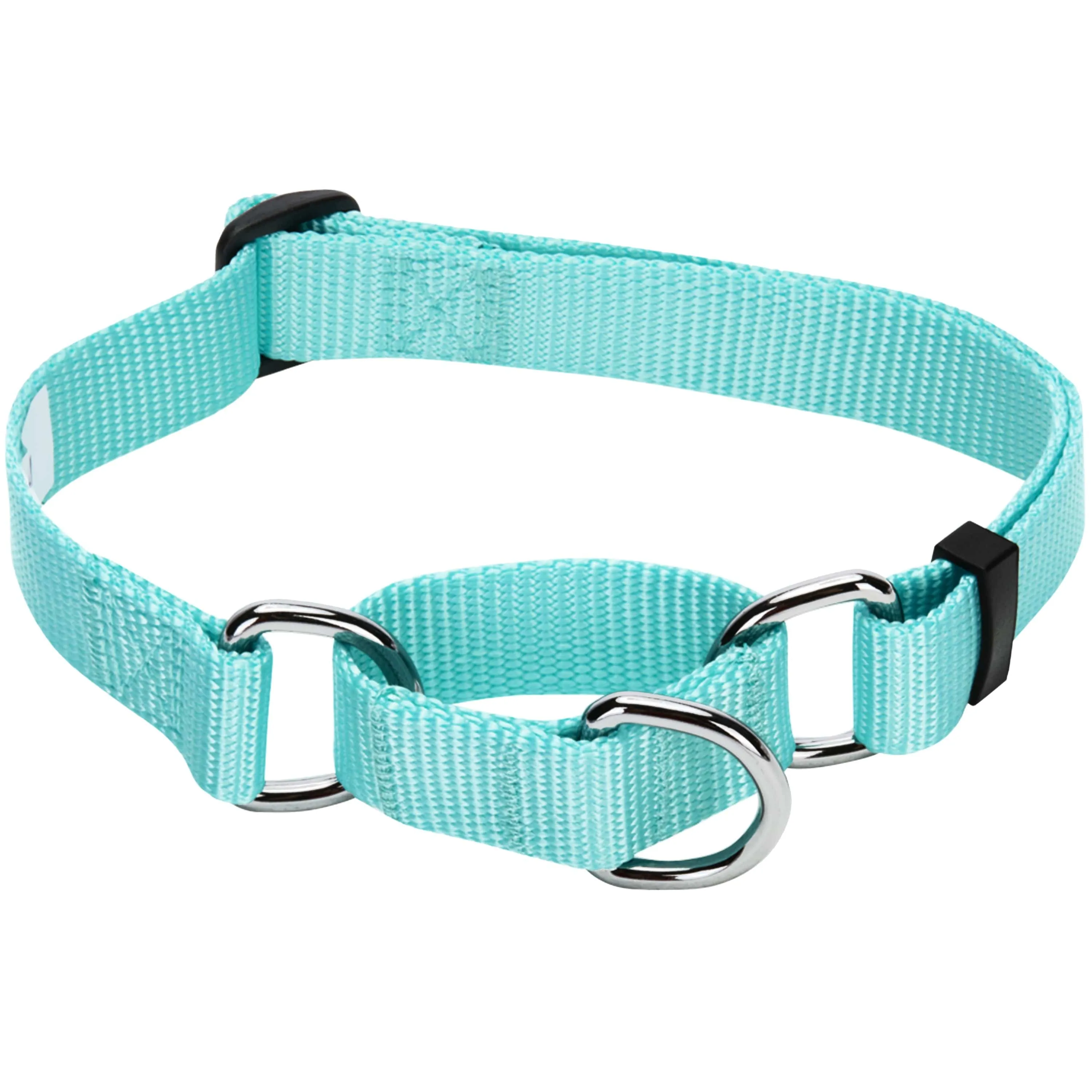 Martingale Safety Training Dog Collar, Blue