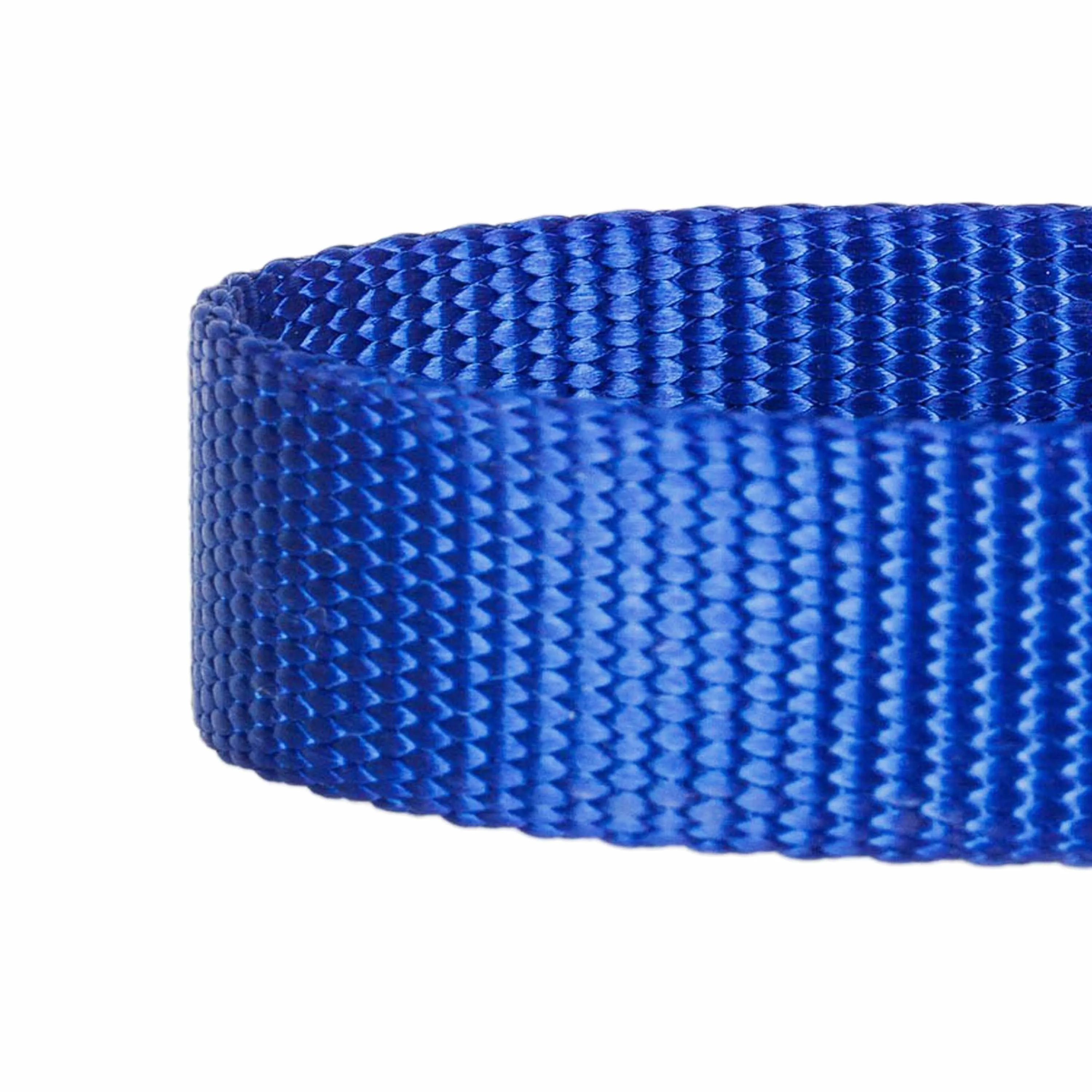 Martingale Safety Training Dog Collar, Blue
