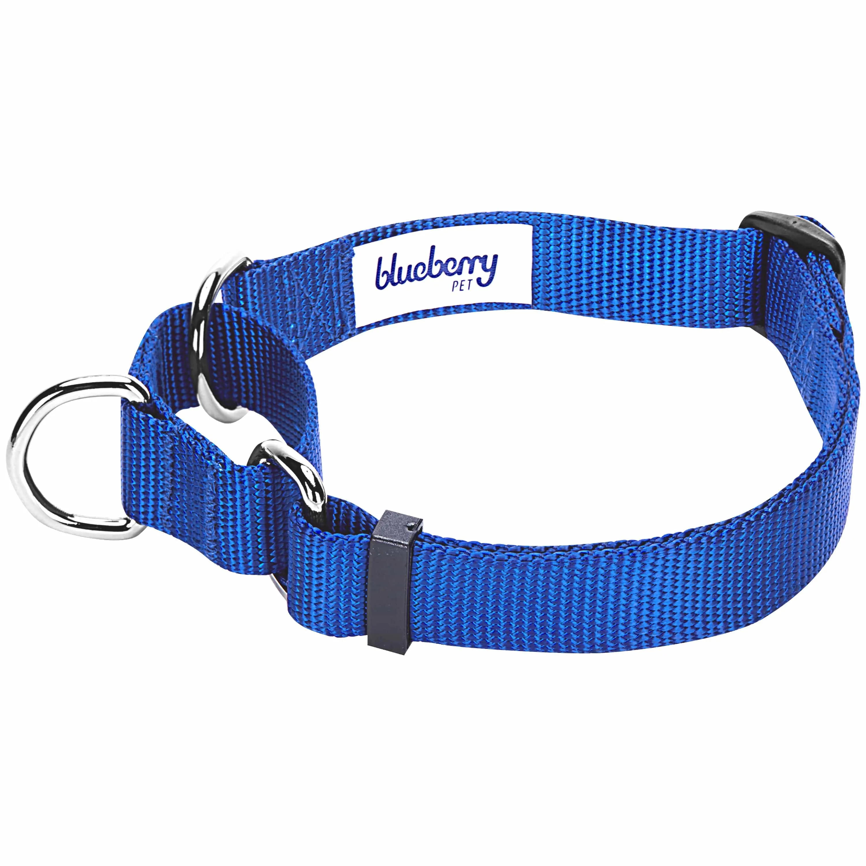 Martingale Safety Training Dog Collar, Blue