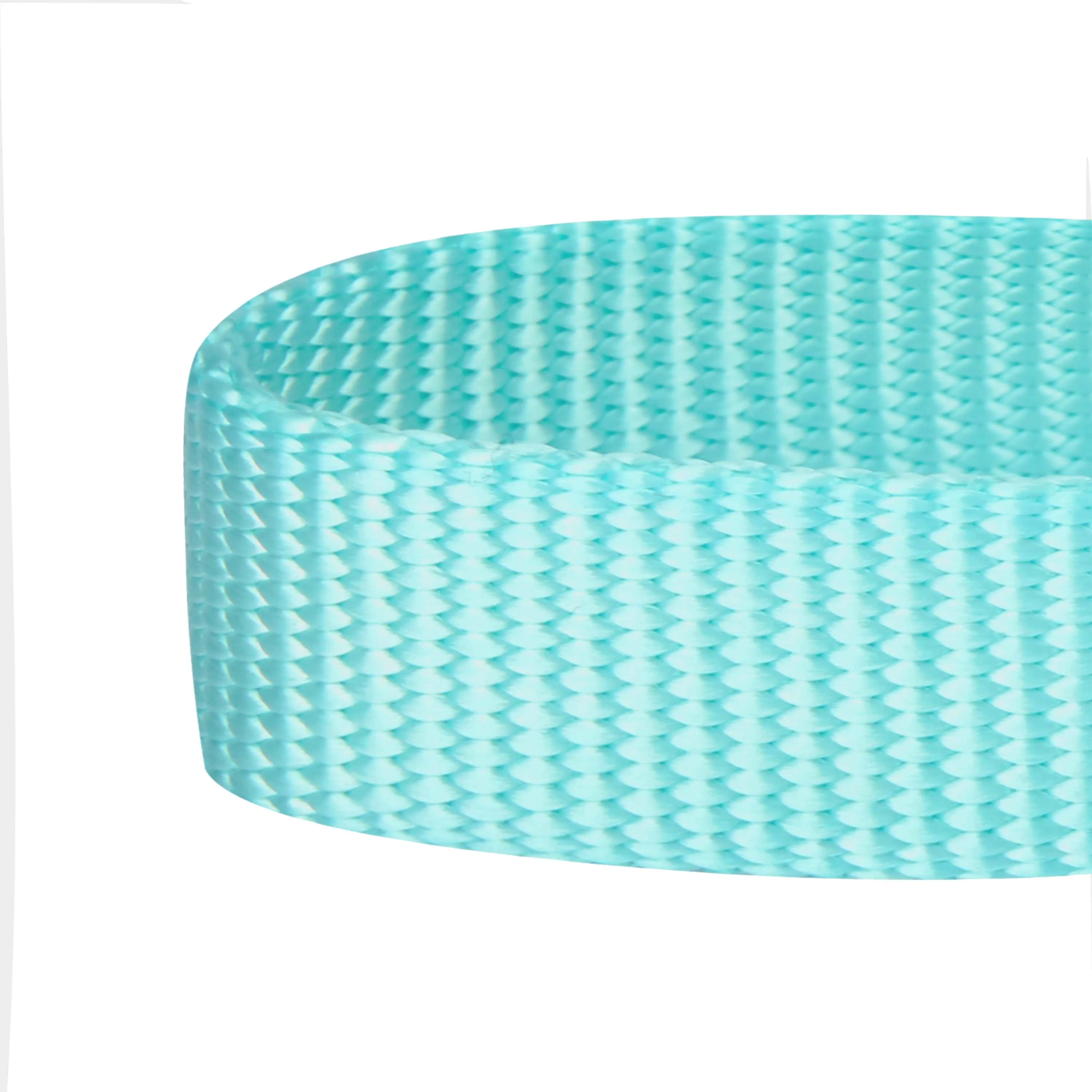 Martingale Safety Training Dog Collar, Blue