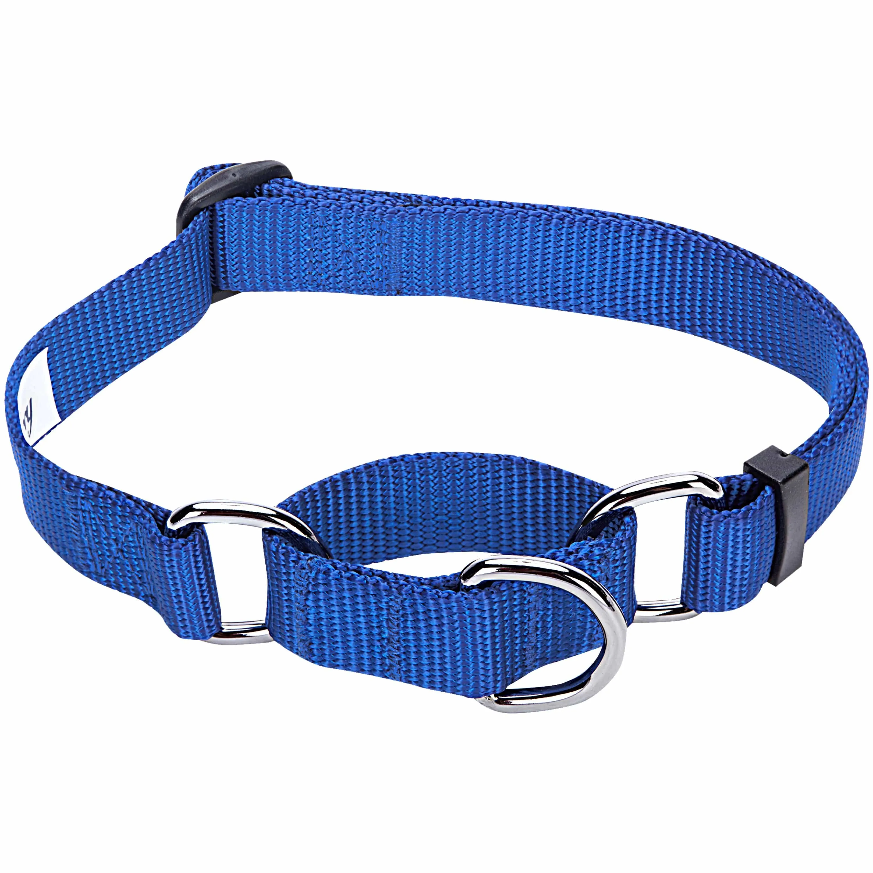 Martingale Safety Training Dog Collar, Blue