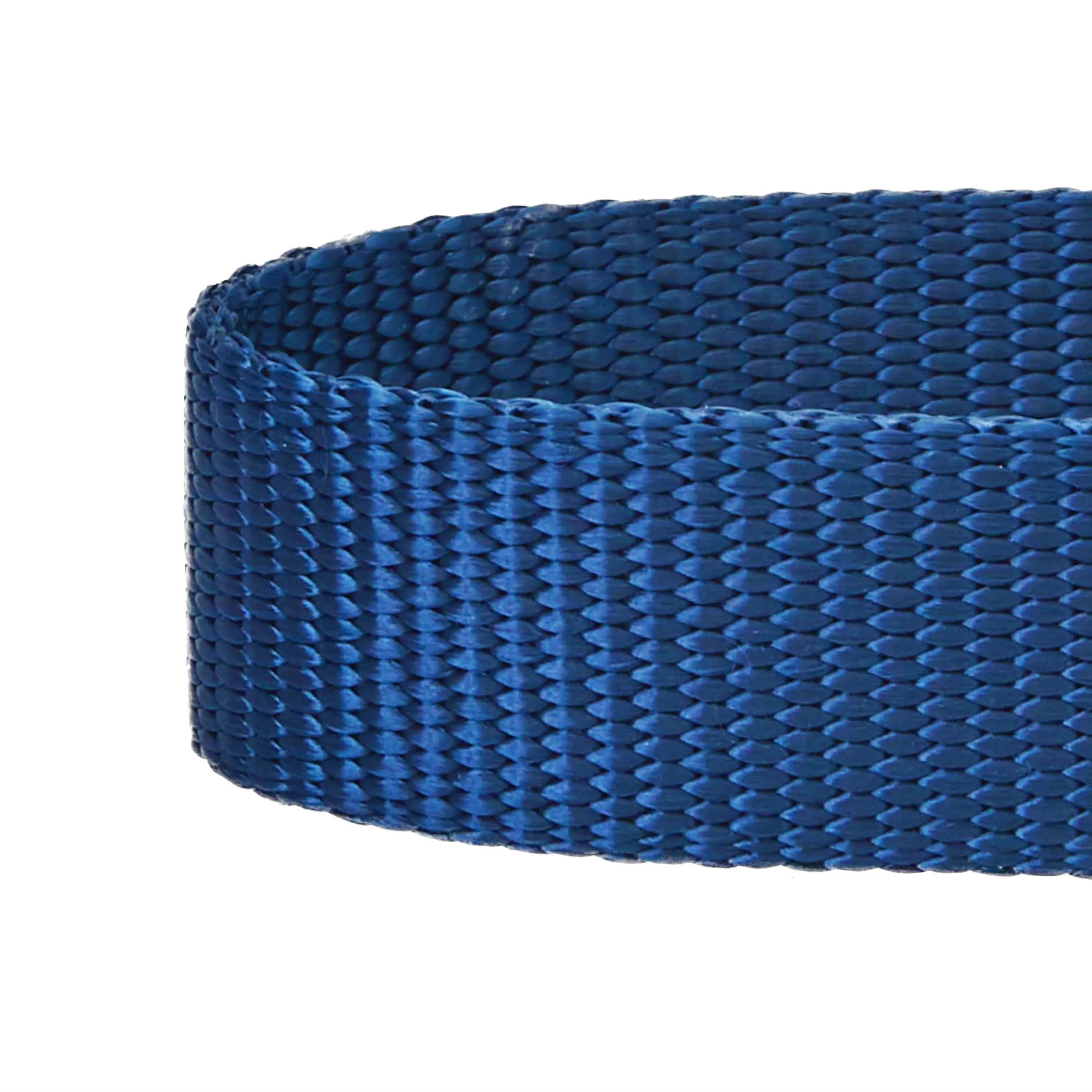 Martingale Safety Training Dog Collar, Blue
