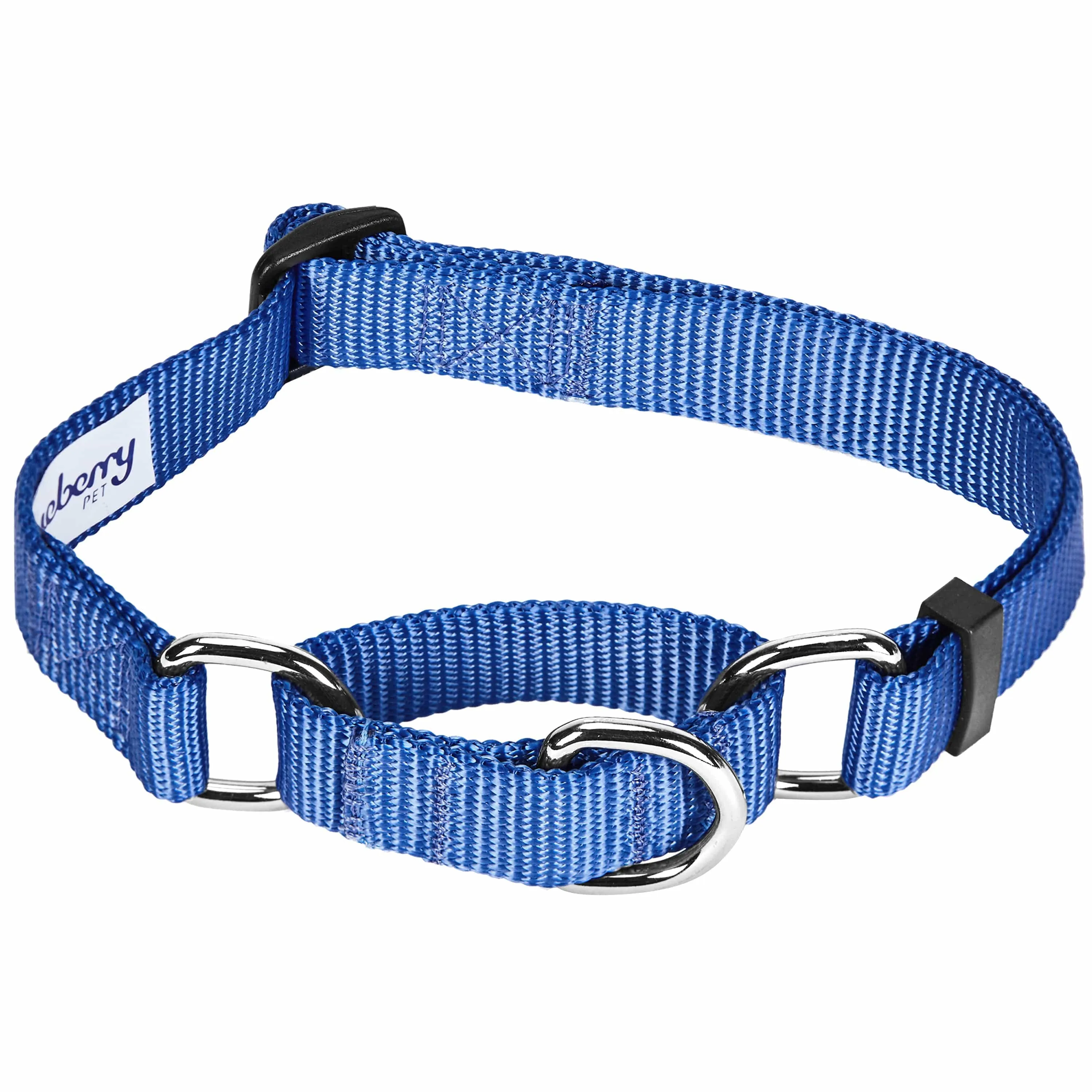 Martingale Safety Training Dog Collar, Blue