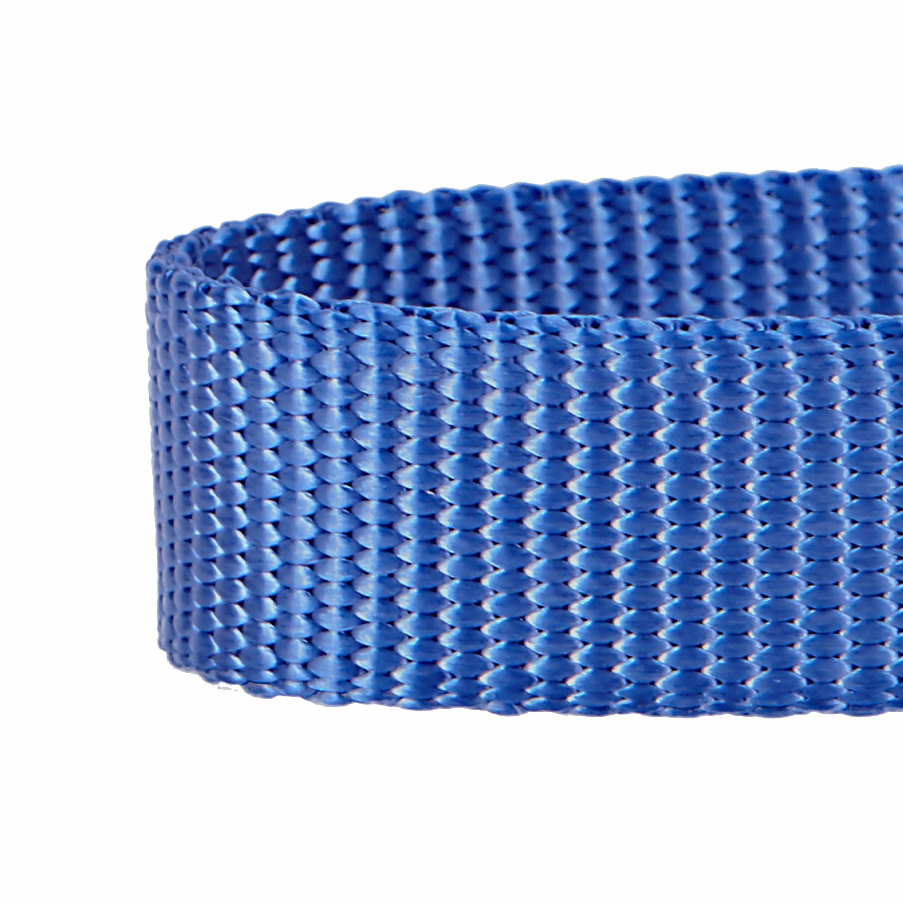 Martingale Safety Training Dog Collar, Blue