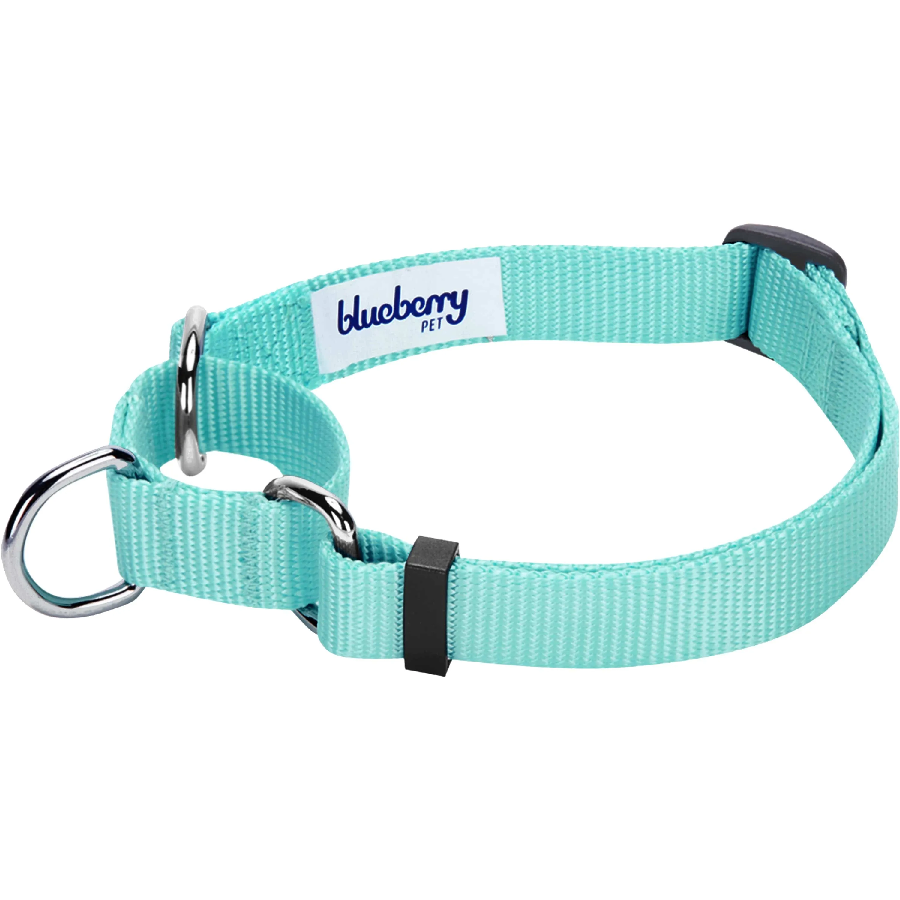 Martingale Safety Training Dog Collar, Blue