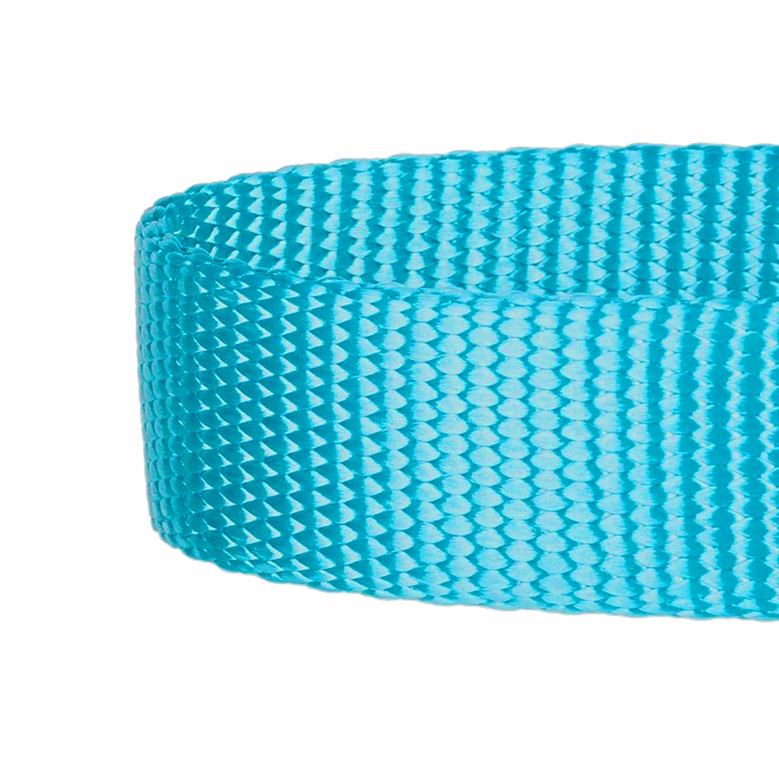 Martingale Safety Training Dog Collar, Blue
