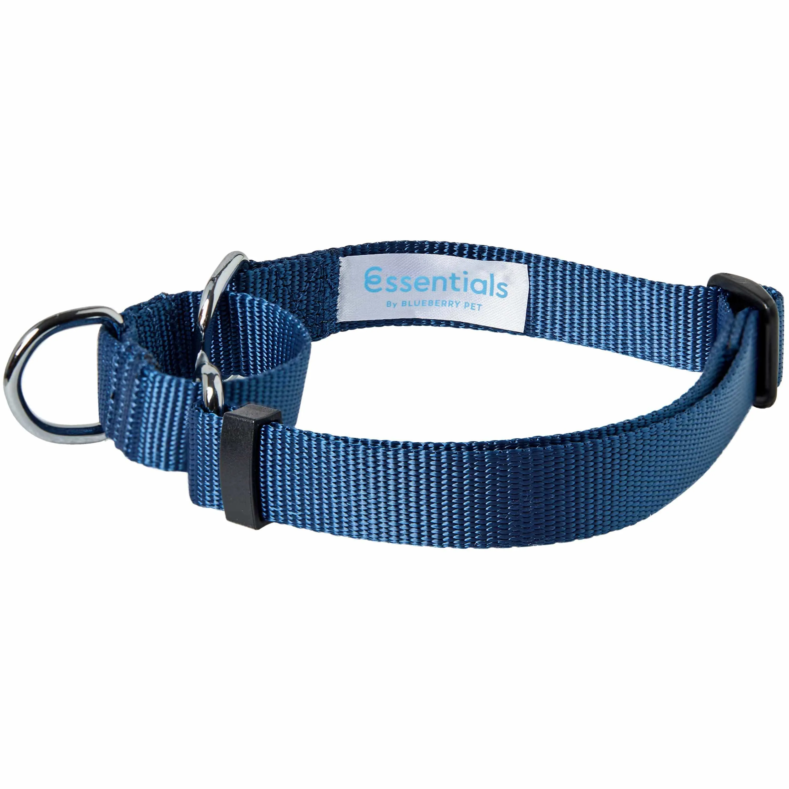 Martingale Safety Training Dog Collar, Blue