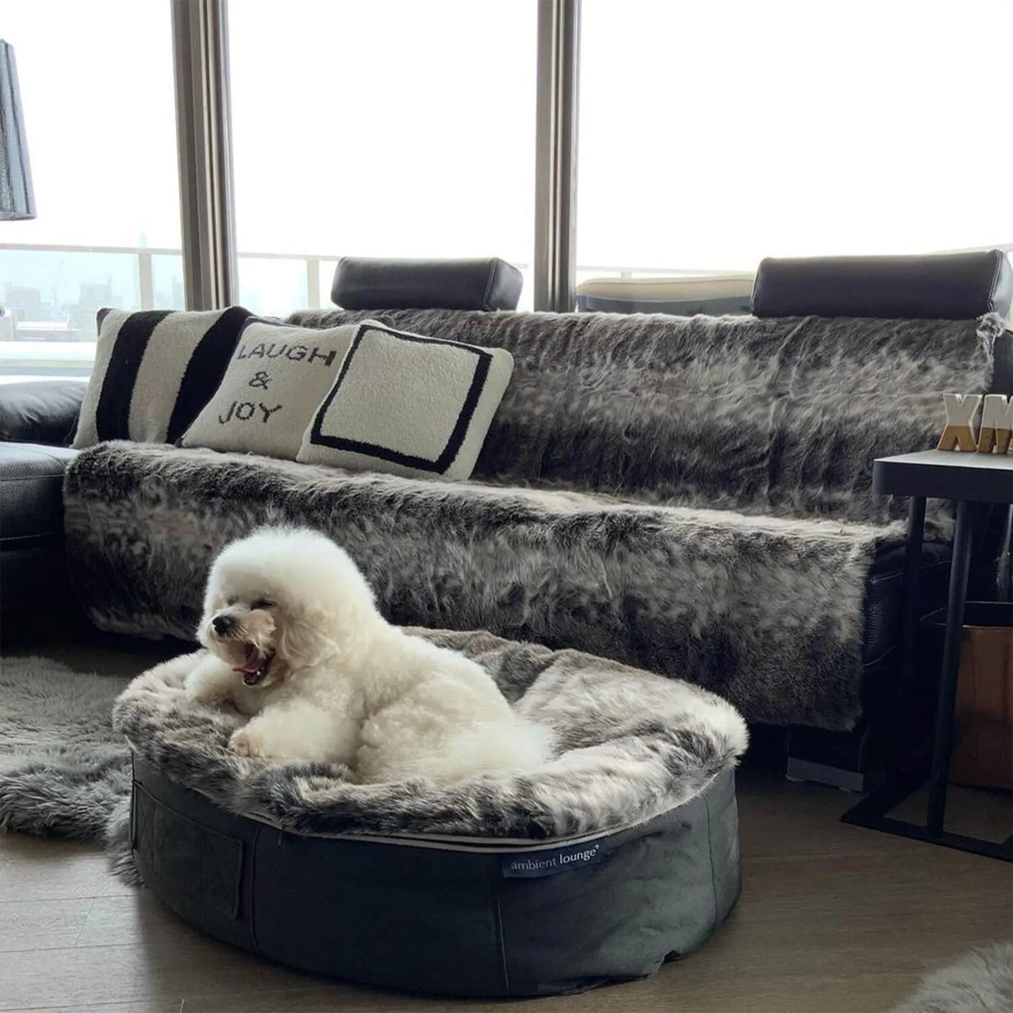 Medium Luxury Dog Bed - Interior/Outdoor