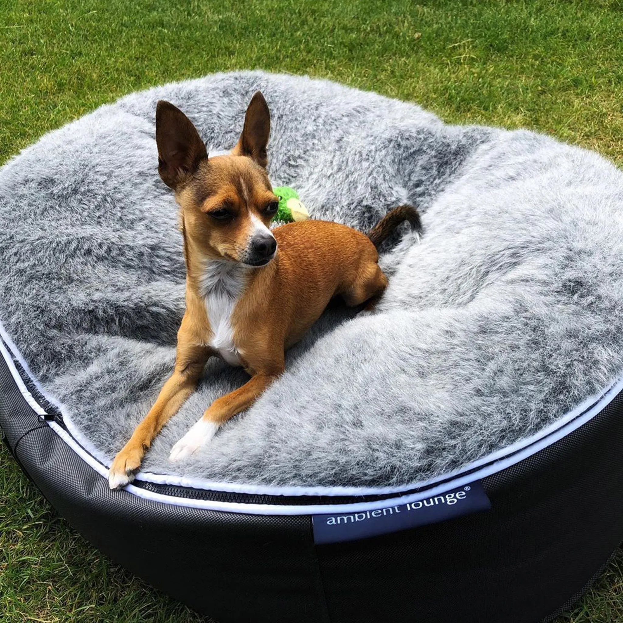 Medium Luxury Dog Bed - Interior/Outdoor