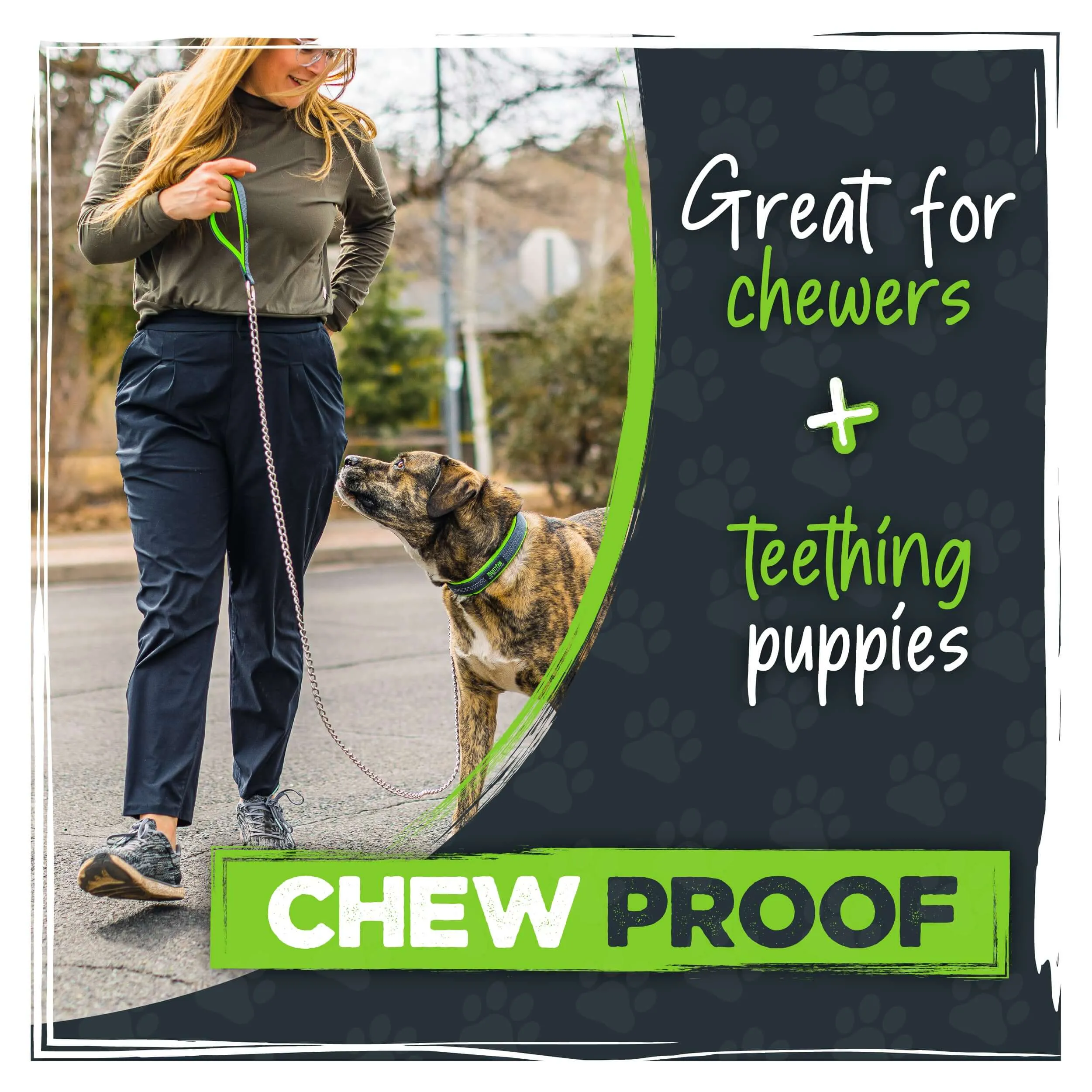 Mighty Paw Heavy-Duty Chain Dog Leash for Large Breeds