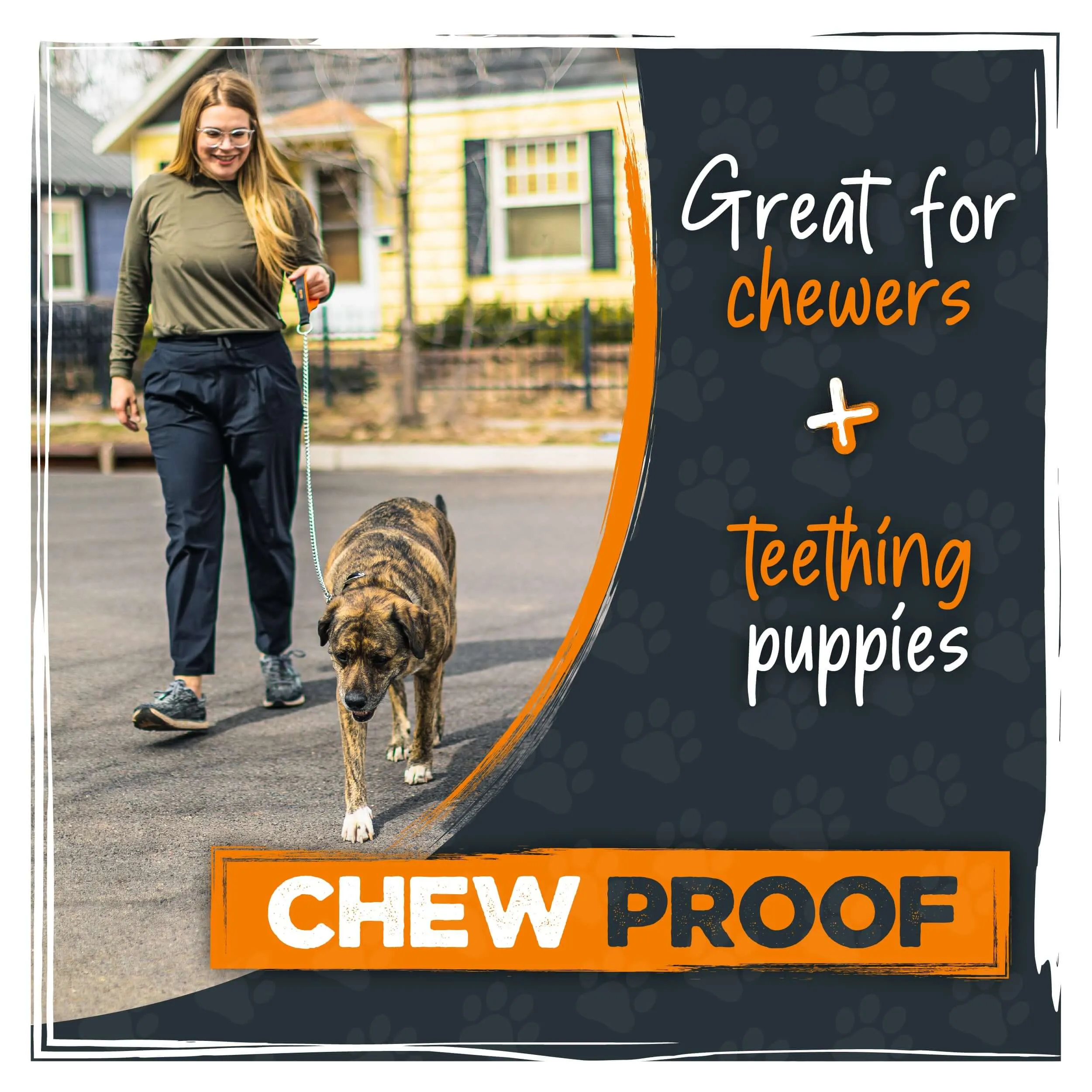 Mighty Paw Heavy-Duty Chain Dog Leash for Large Breeds