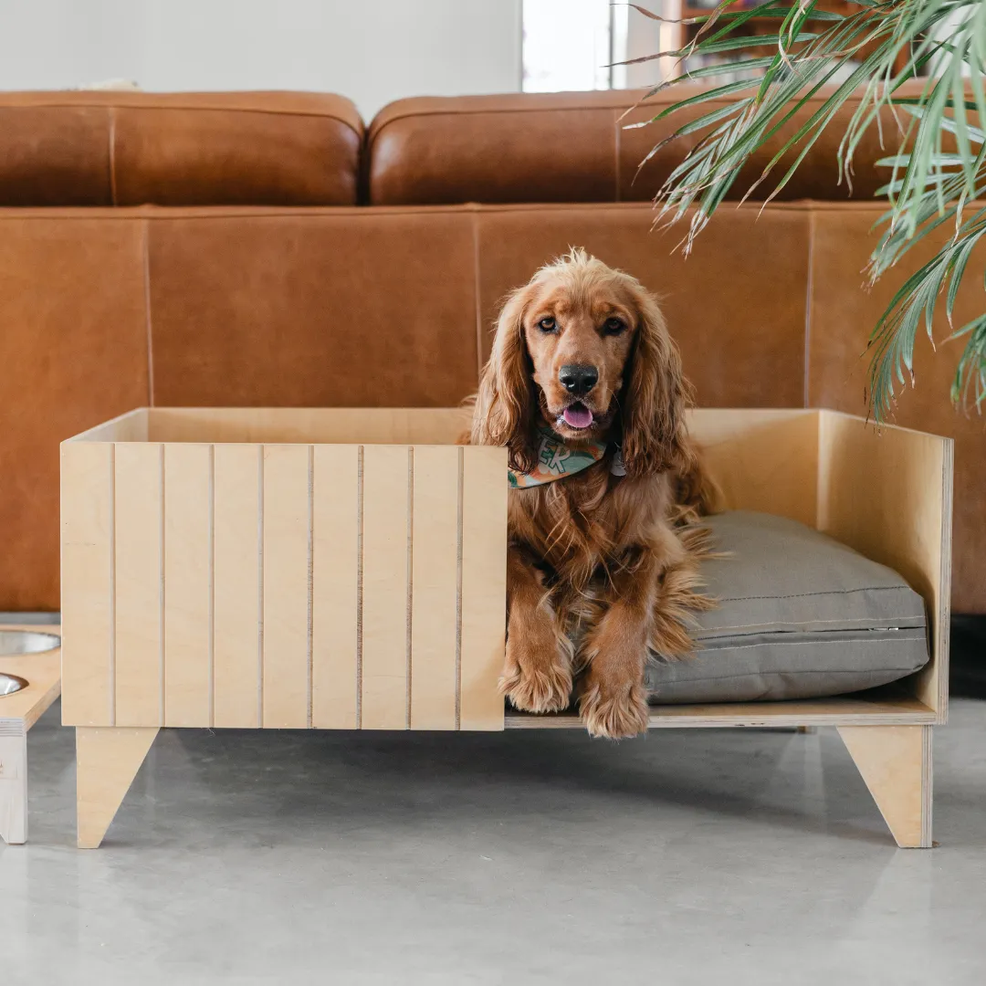Olly Pet Bed