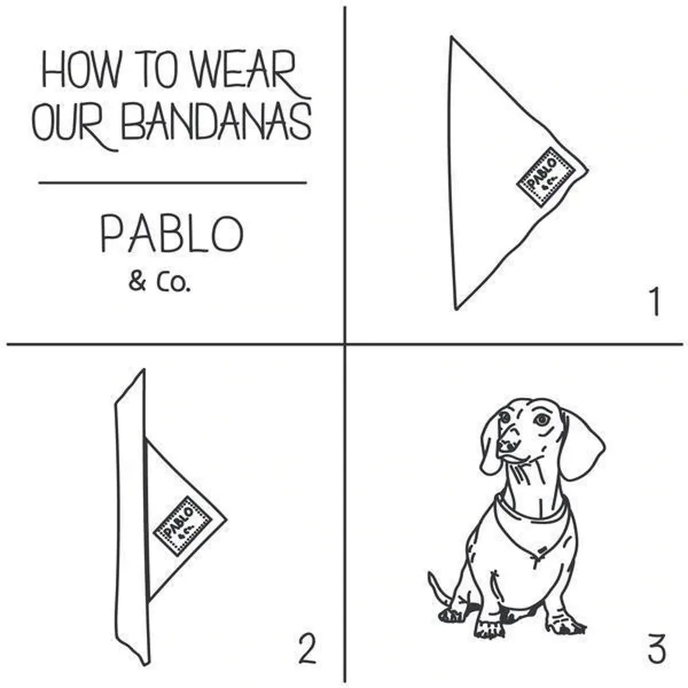 Pablo & Co The Original Mickey Mouse: Bandana