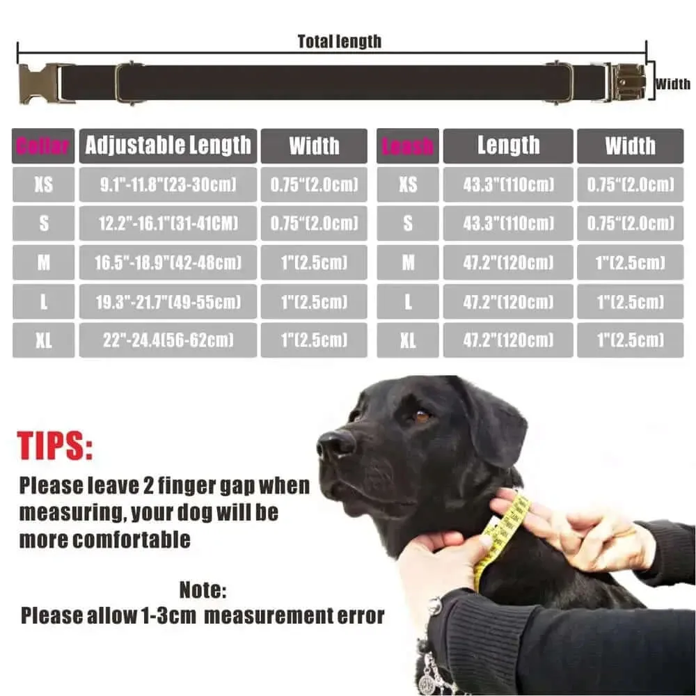 Personalized ID Tag Blue & Green Plaid Pet Collar & Leash