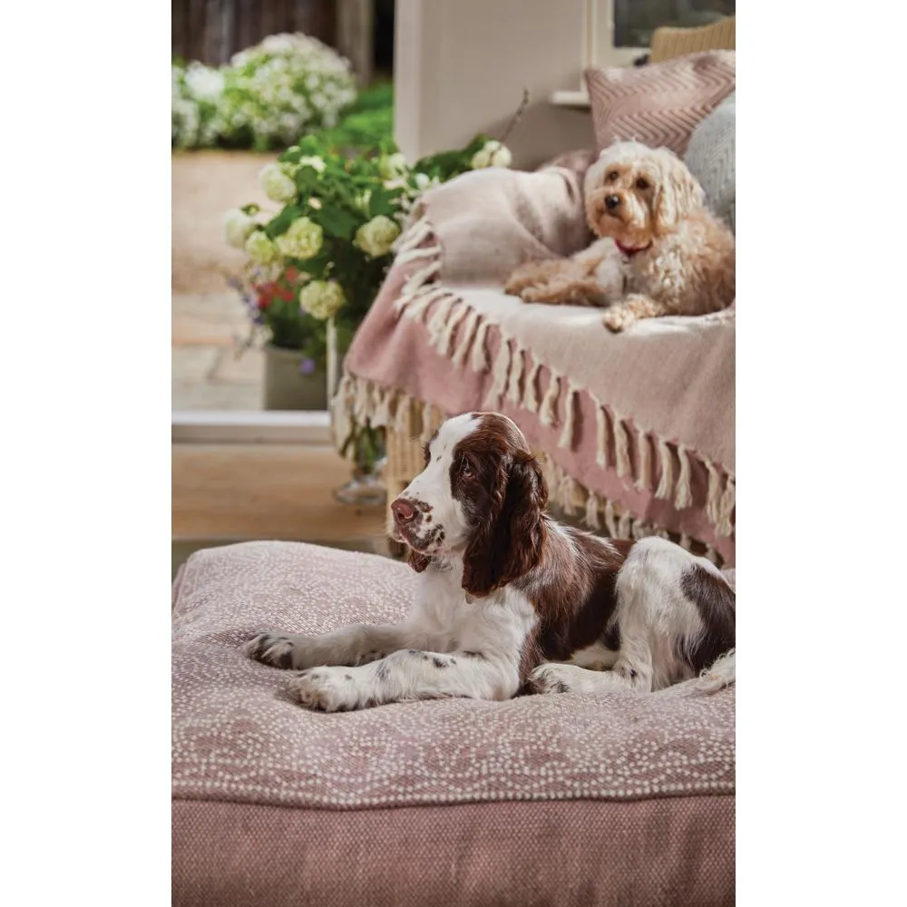 Pet Bed Dot Floral Rose