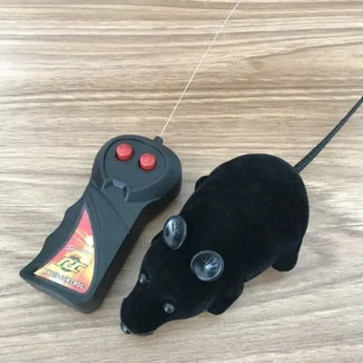 Pet Interactive Remote Control Toy