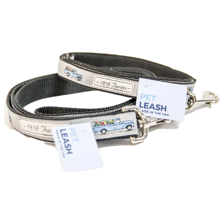 Pet Leash