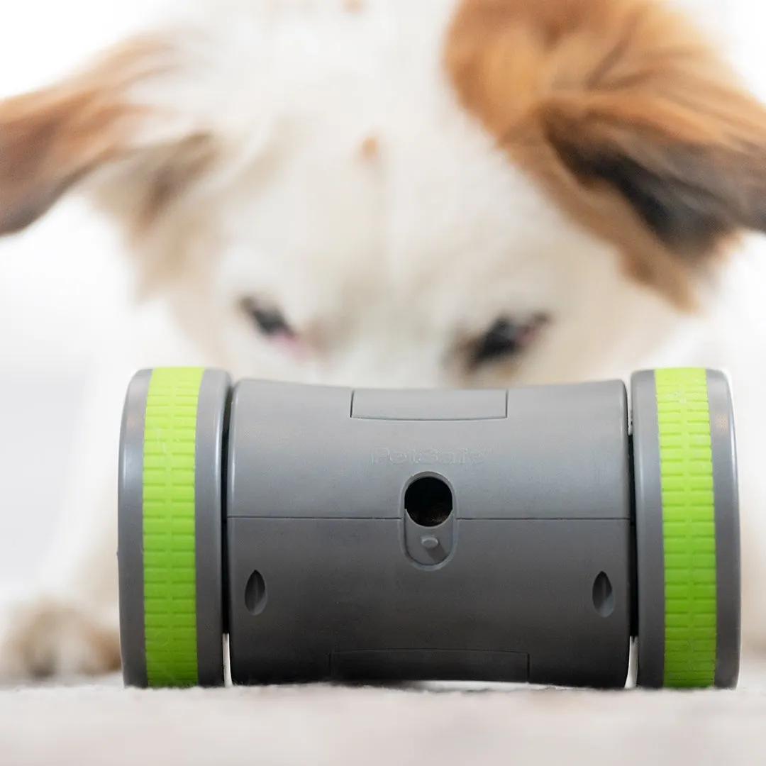 PetSafe® Kibble Chase™ Roaming Treat Dispenser