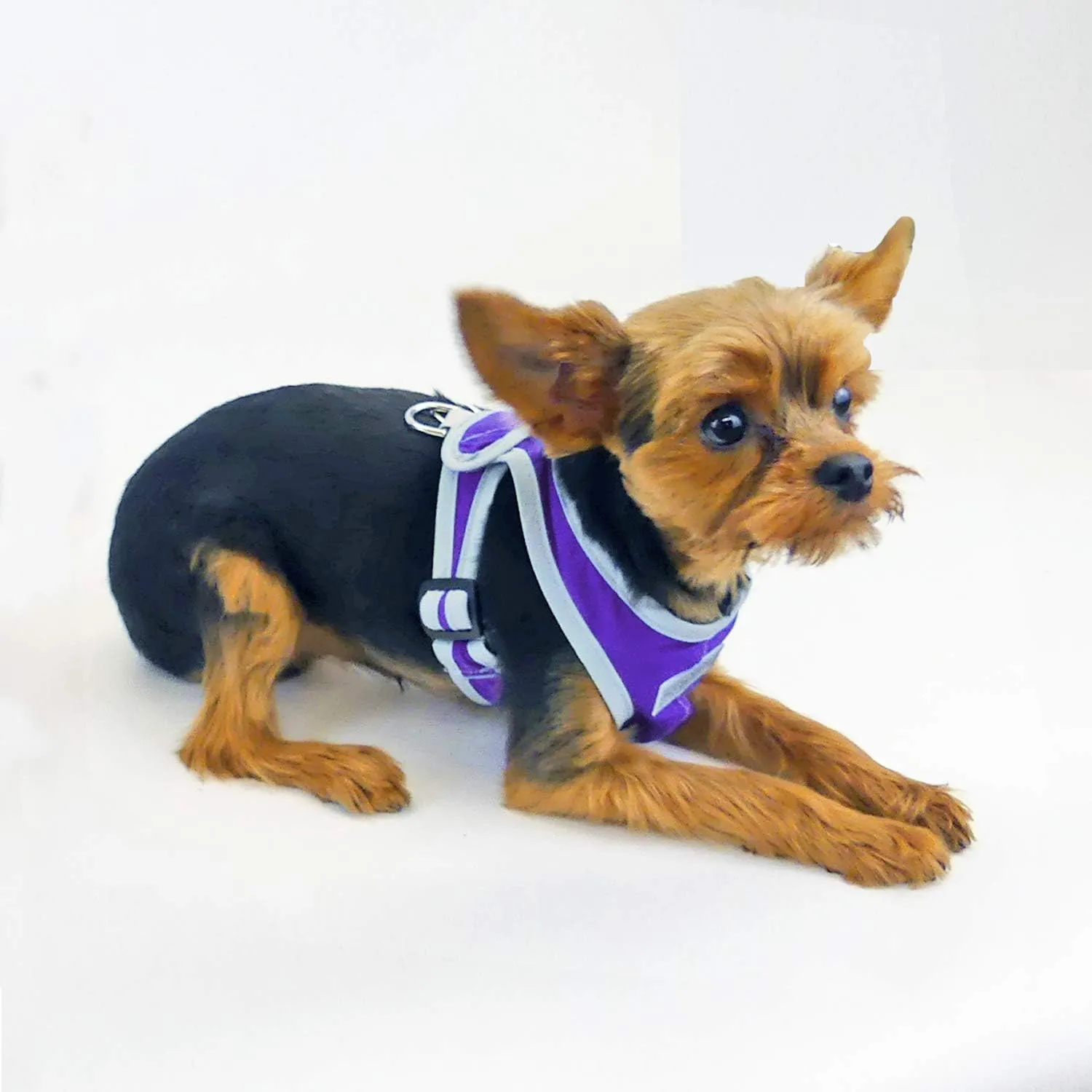 Precision Fit Nylon Step-in Adjustable Dog Harness in Teacup to 40 LBS Vest Easy On Adjustable XXXSmall Toy Puppies to Large Soft Walking Doggy Wrap Vest (1101) (XSmall - Purple)