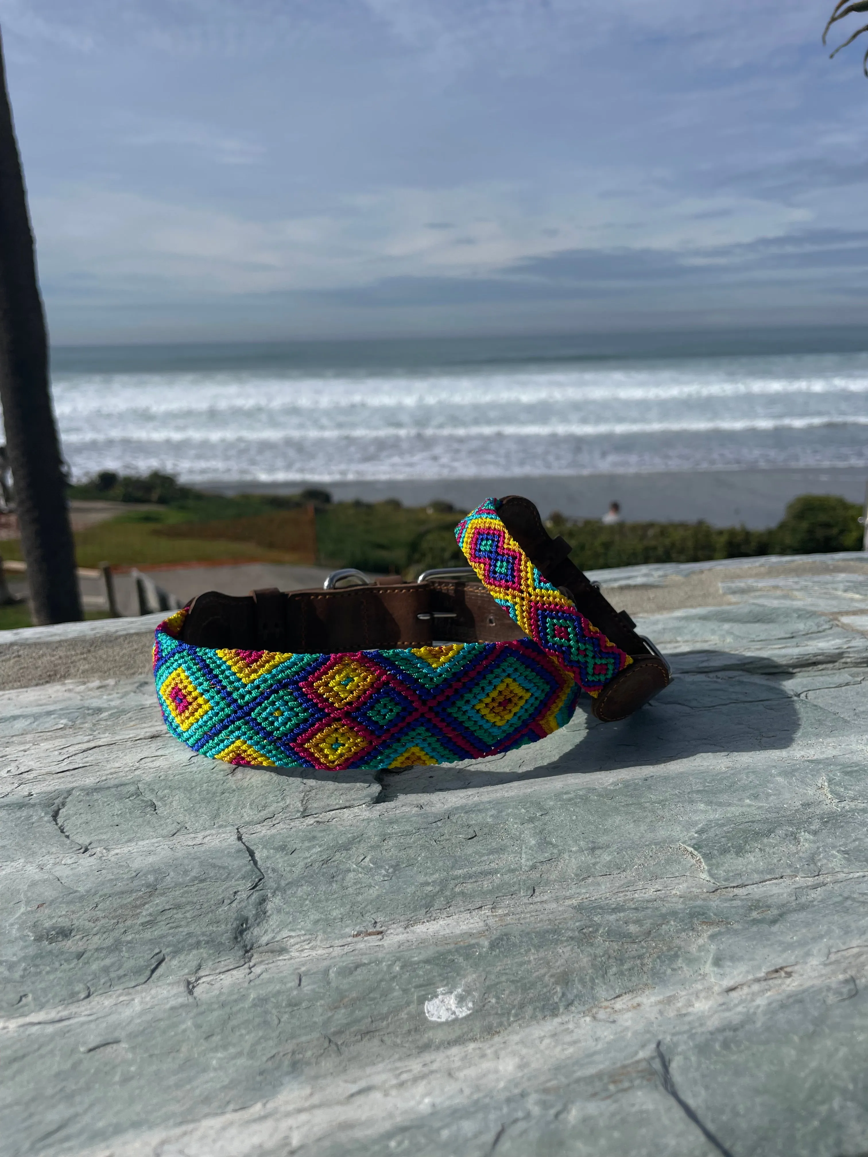 Reina Leash