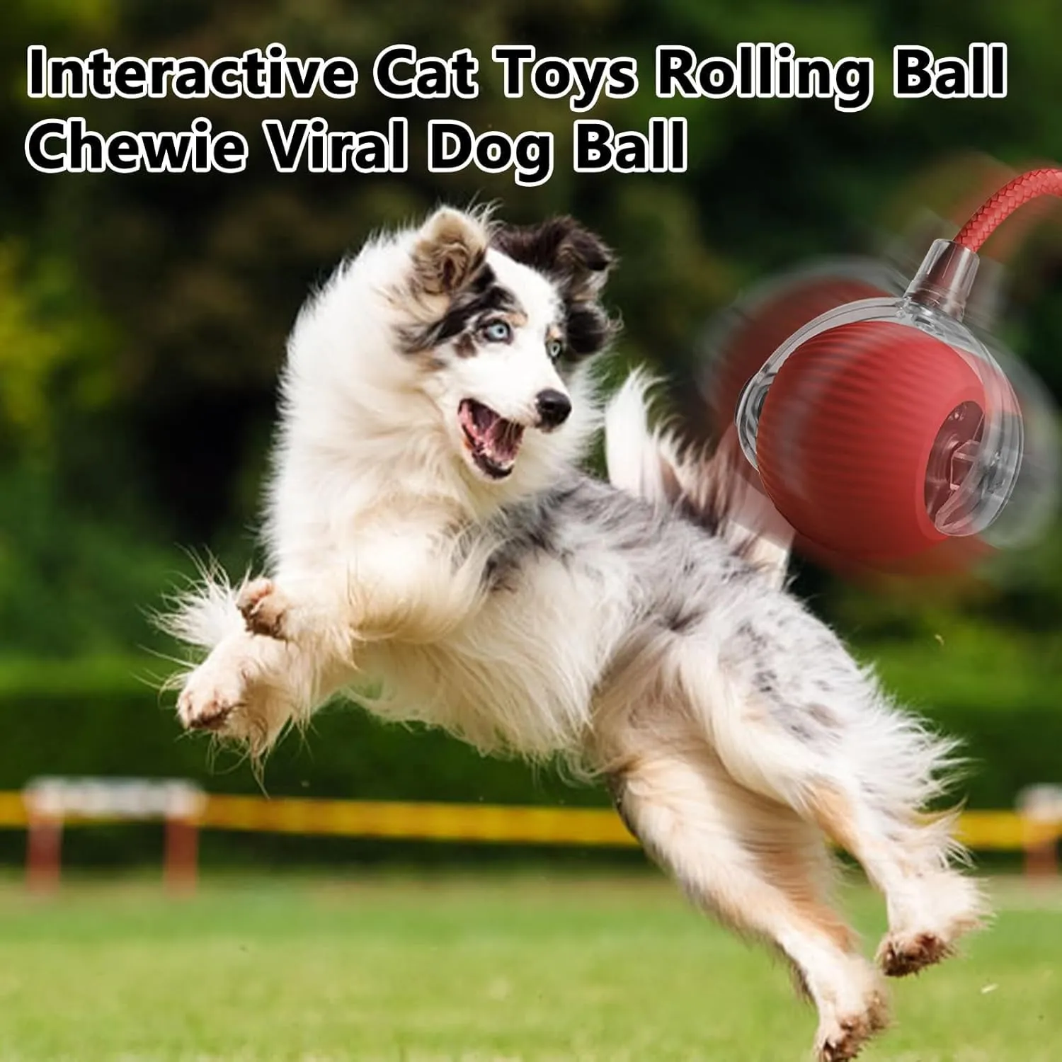 Rollie Pet Smart Cat Toy, Interactive Motion Activate Electric Self Rolling Ball for Large Small Cat Dog (Gray-C)