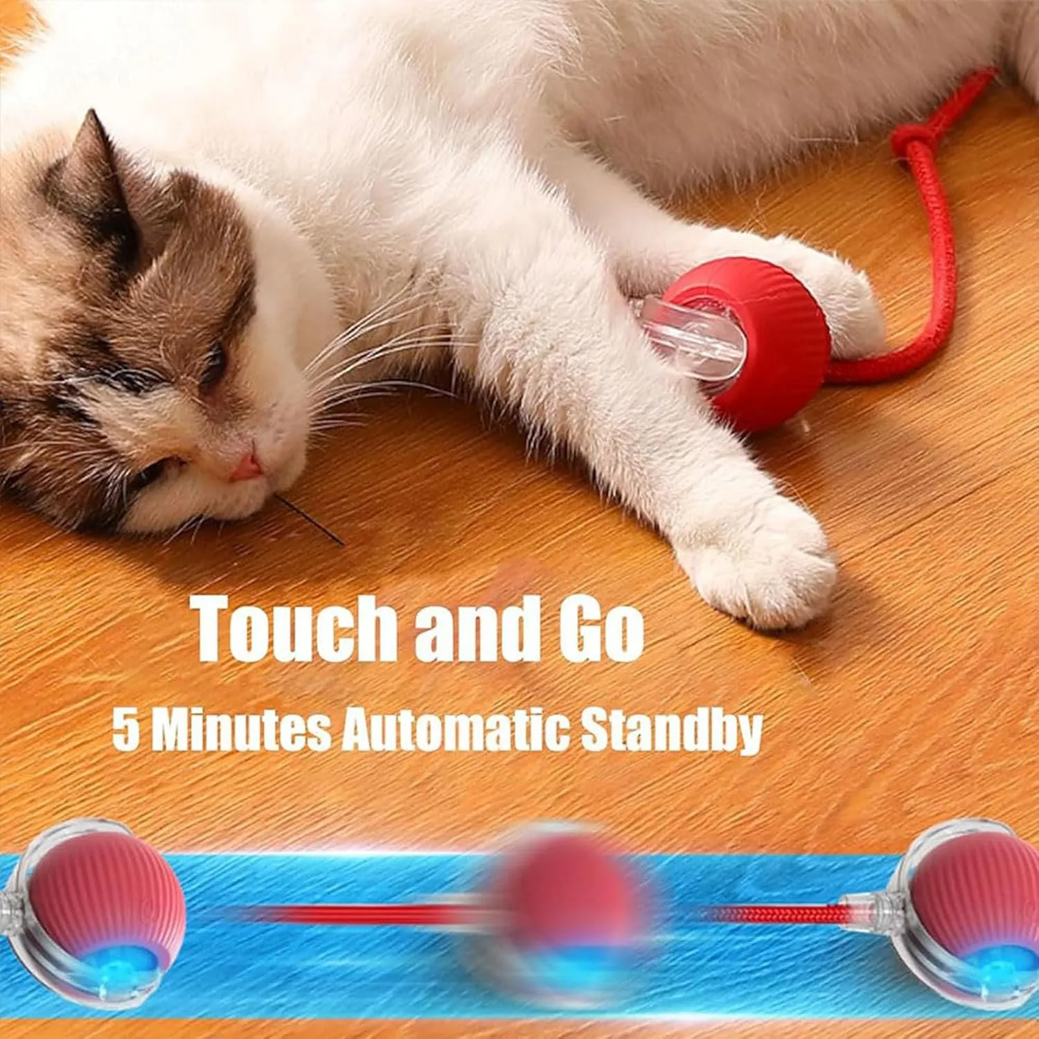 Rollie Pet Smart Cat Toy, Interactive Motion Activate Electric Self Rolling Ball for Large Small Cat Dog (Gray-C)