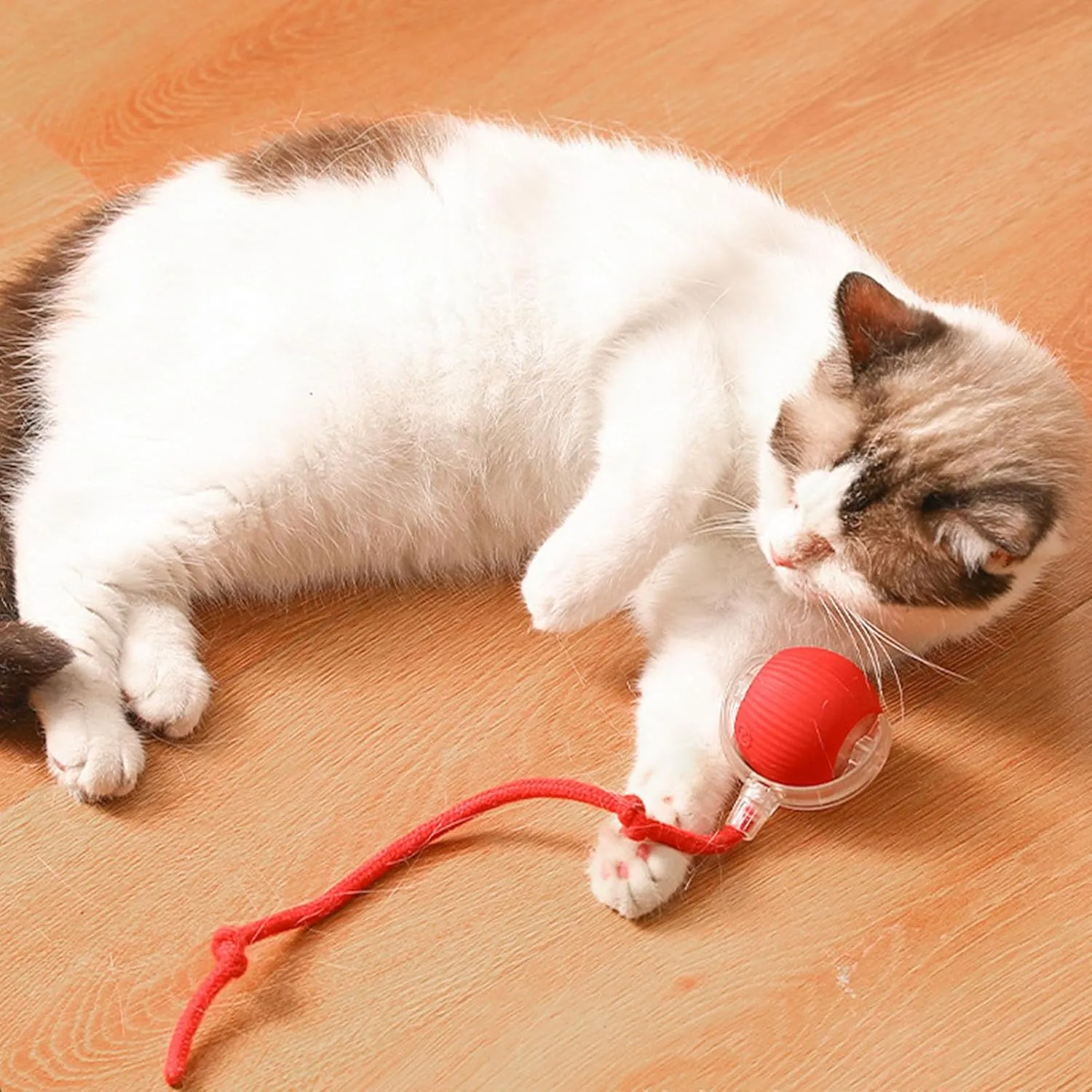 Rollie Pet Smart Cat Toy, Interactive Motion Activate Electric Self Rolling Ball for Large Small Cat Dog (Gray-C)