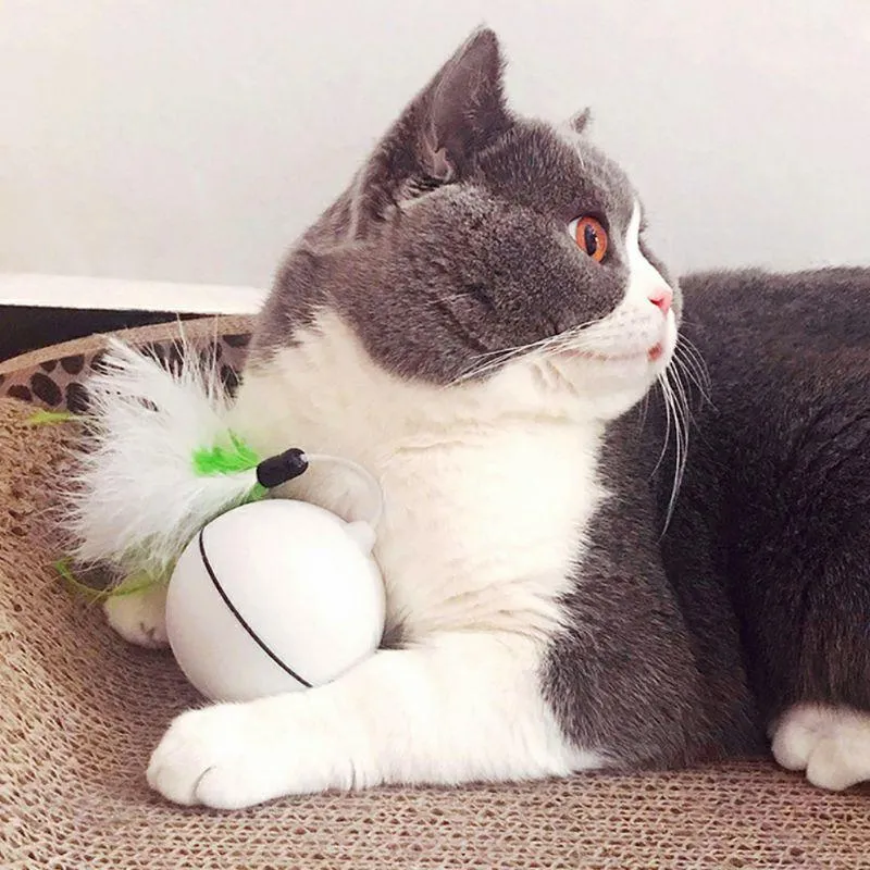 Rolling Cat Ball Toy With Magnetic Feathers Interactive Teasing Multi-function LED Cat Toy