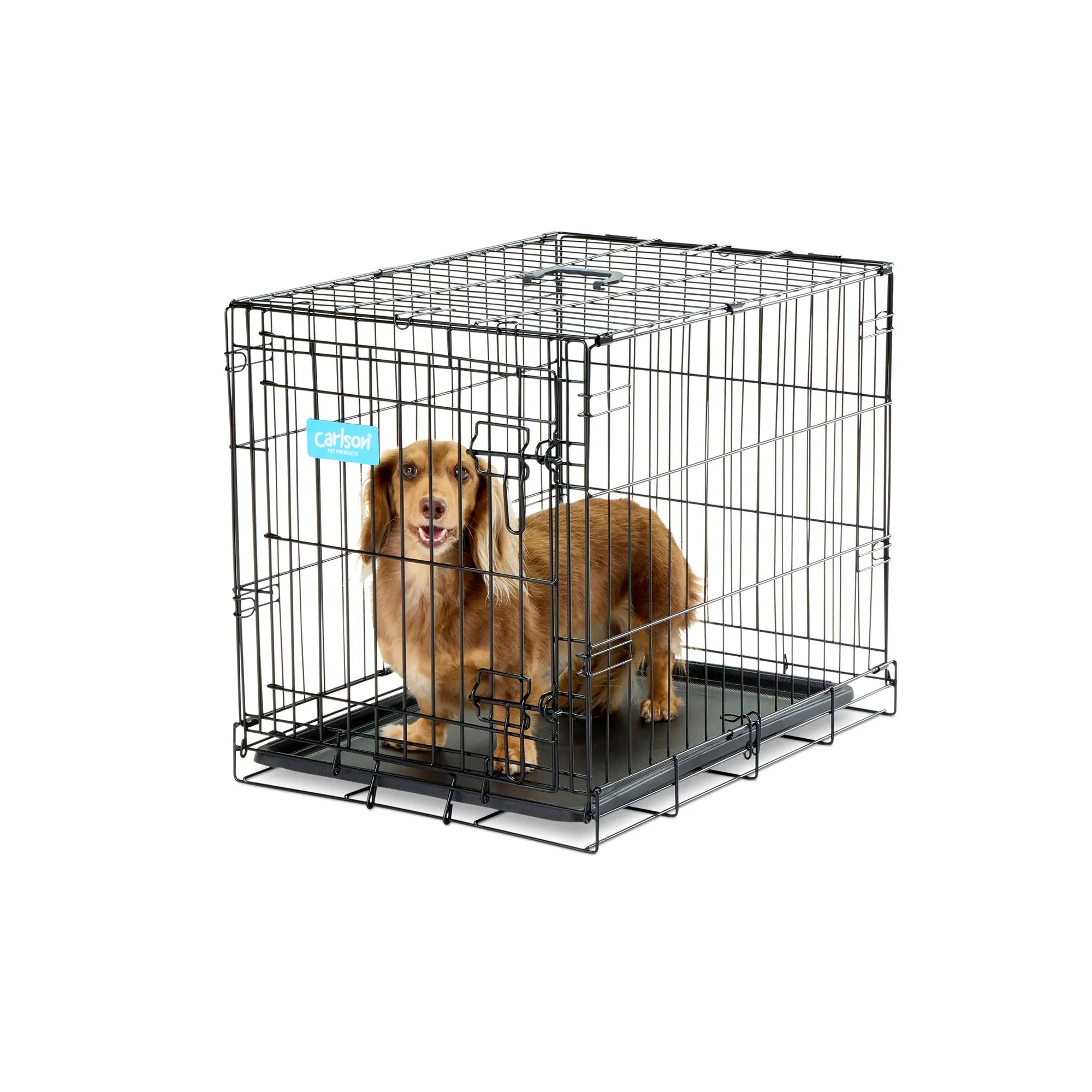 Small Single-Door Dog Crate