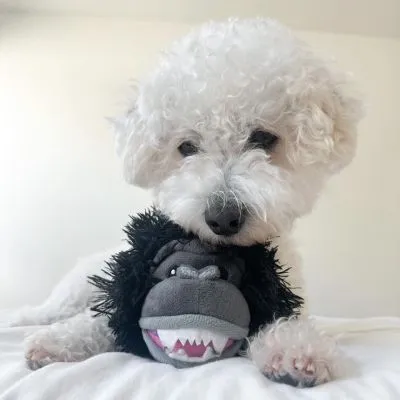 Tall Tails 2-in-1 Fetch Ball Dog Toy (4")