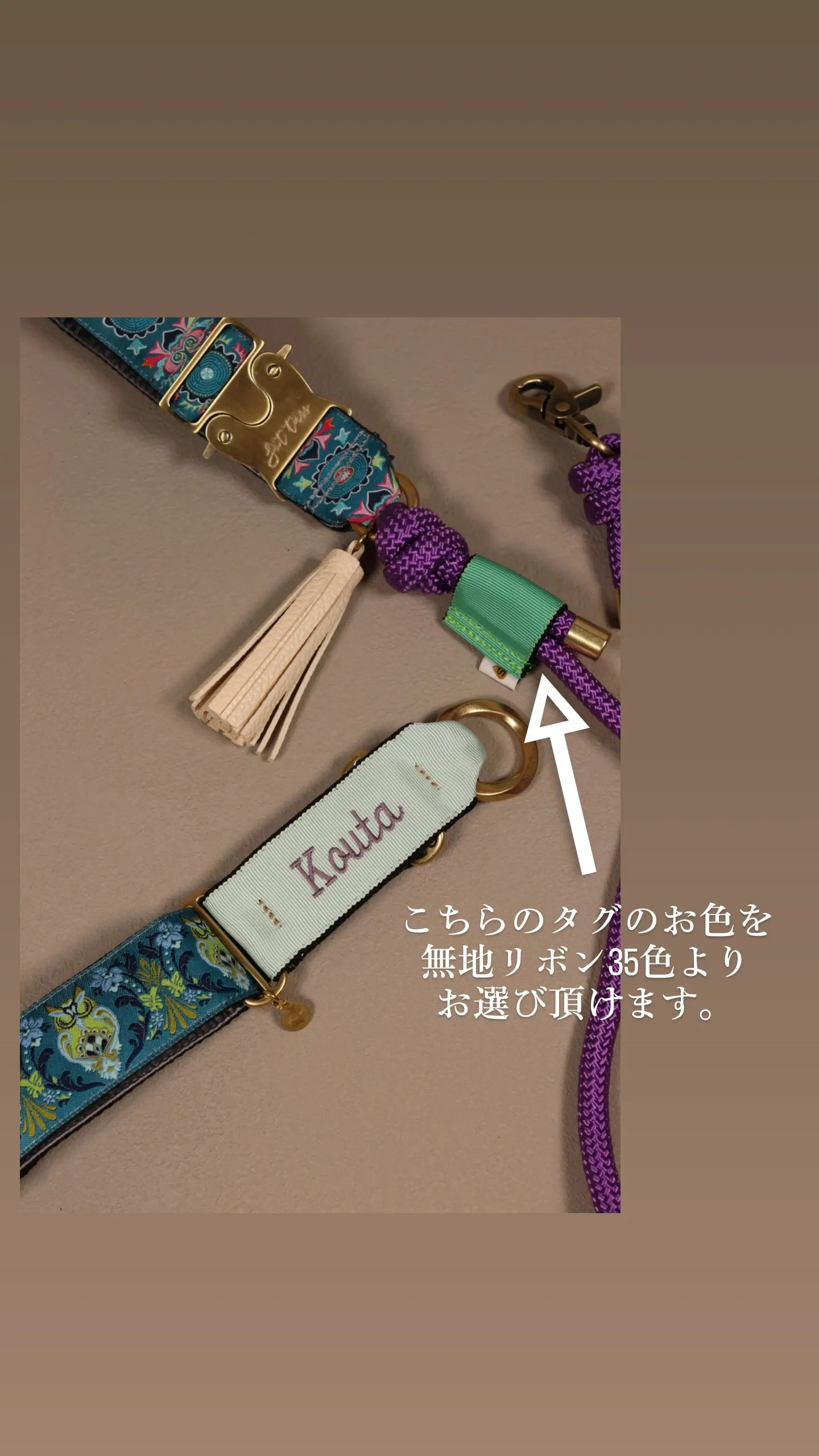 USAリボンロープリード