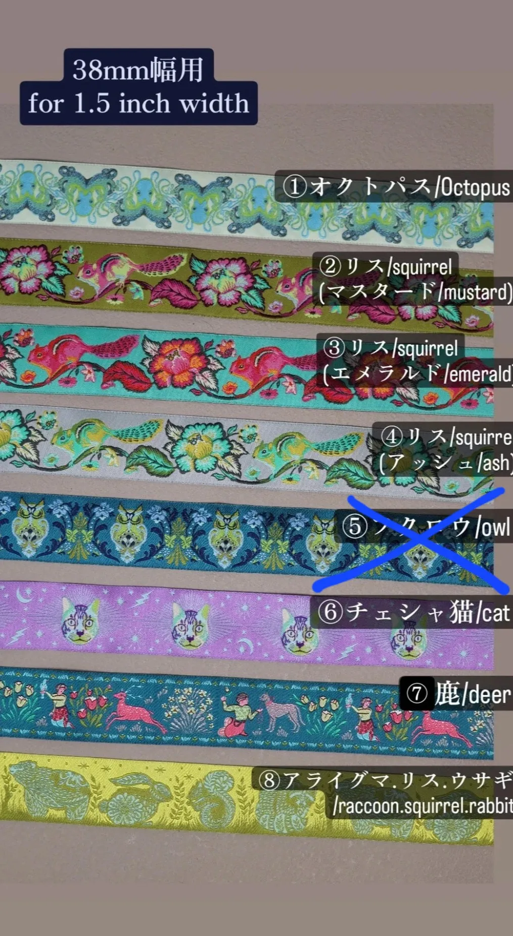 USAリボンロープリード